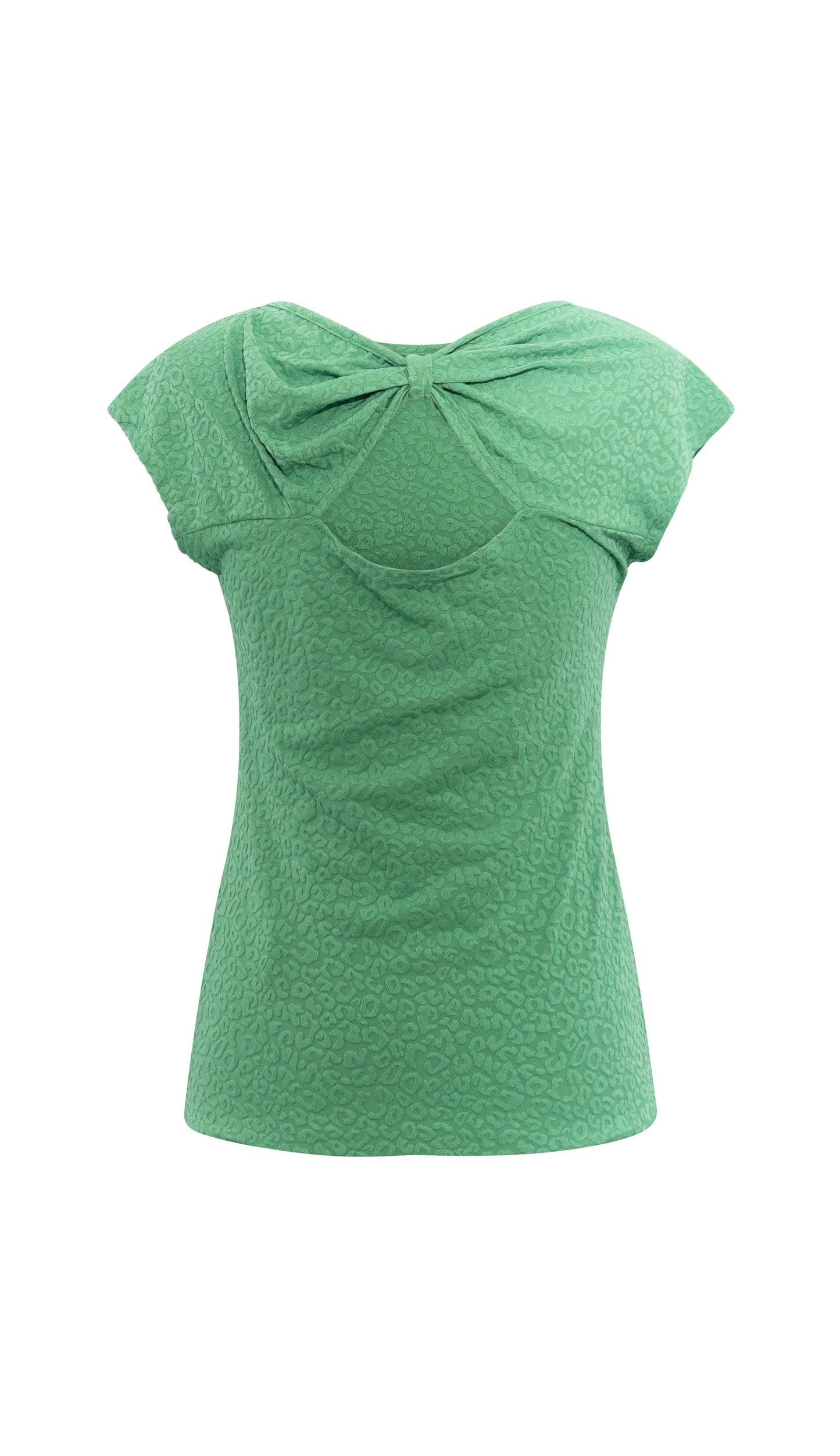 T-Shirt Aconcagua